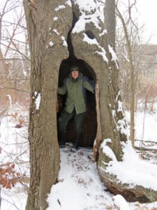 Naturalist Linda Gilbert stands within a hole in a large oak tree at the West Woods.